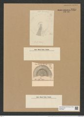 Coscinodiscus hungaricus var. szaboi (Pant.) Rattr. (de-Toni-Nr.: Genus 202, Species 5126) Zeichnungen Sammlung Grunow Nr. 8884 (NHMW-BOT-W0378532)